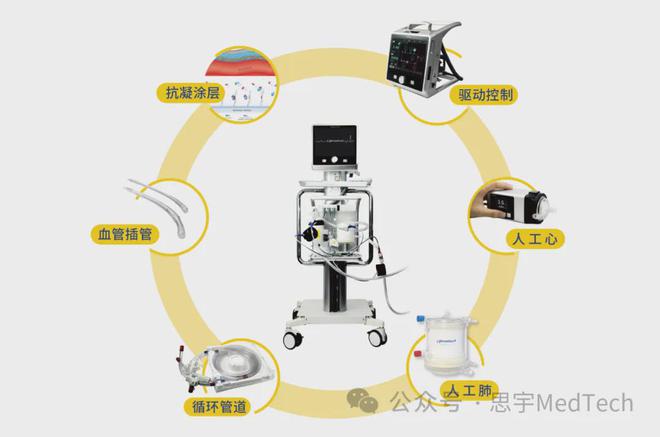 泛亚电竞注册最新出炉2024年全球医疗科技新锐奖(图26)