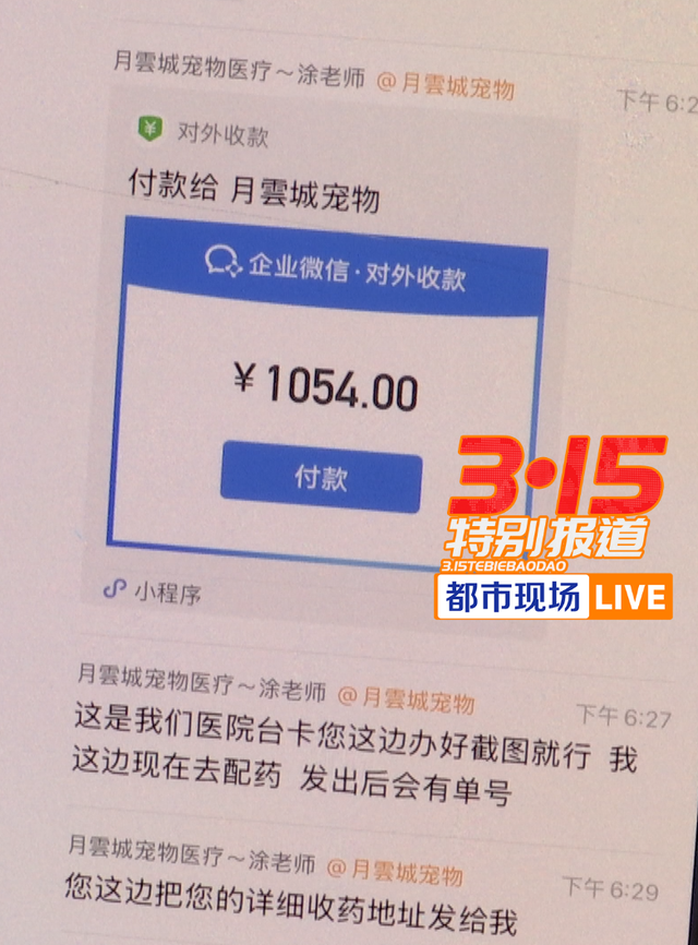 泛亚电竞揭线上宠物医疗无证行医乱象 宠物医疗背后的黑幕(图2)