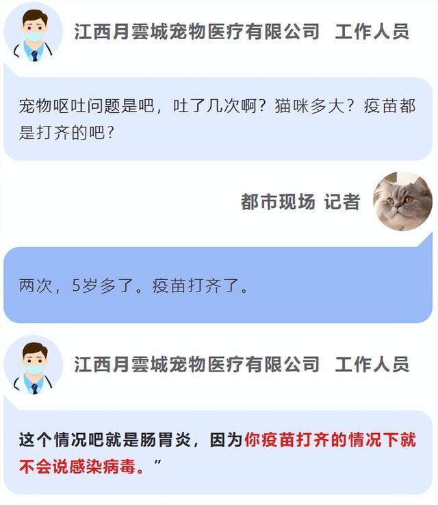 泛亚电竞揭线上宠物医疗无证行医乱象 宠物医疗背后的黑幕(图7)