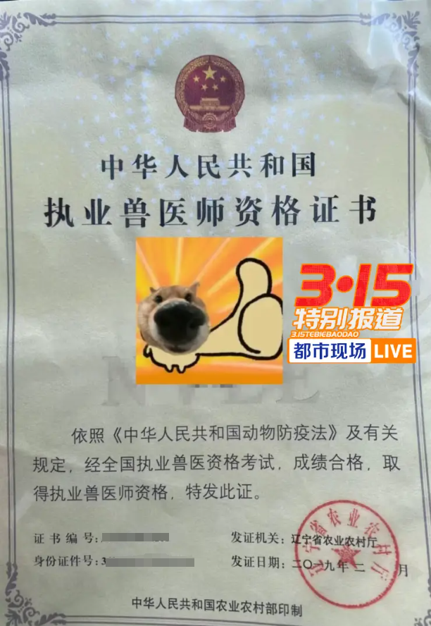 泛亚电竞揭线上宠物医疗无证行医乱象 宠物医疗背后的黑幕(图9)